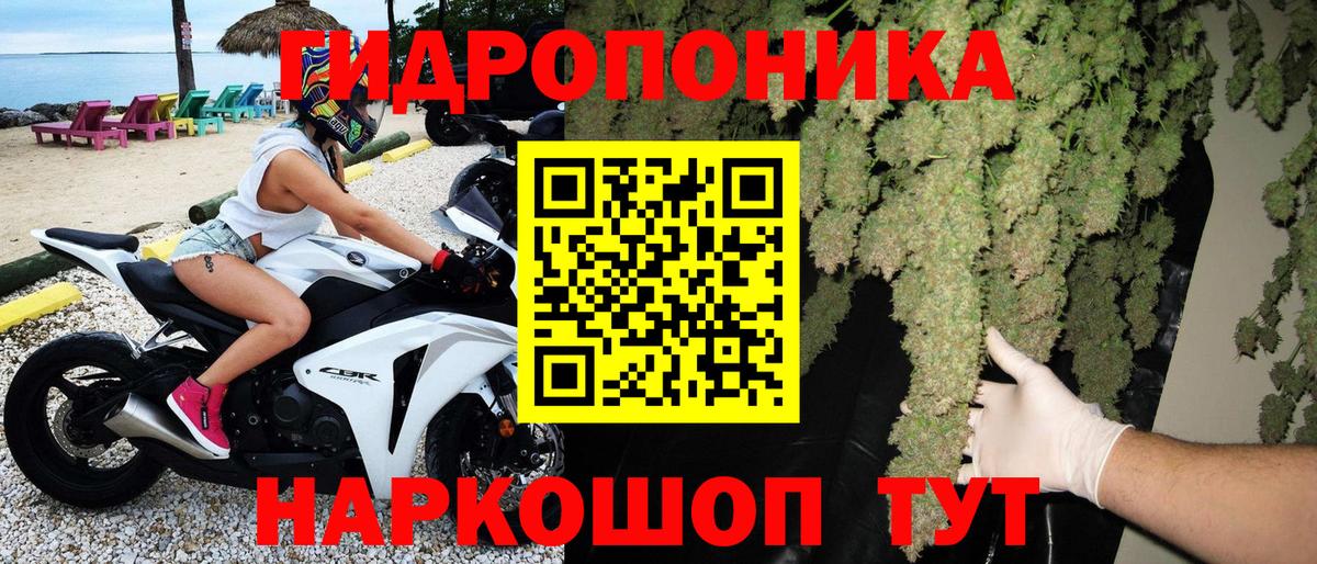Каннабис план Люберцы